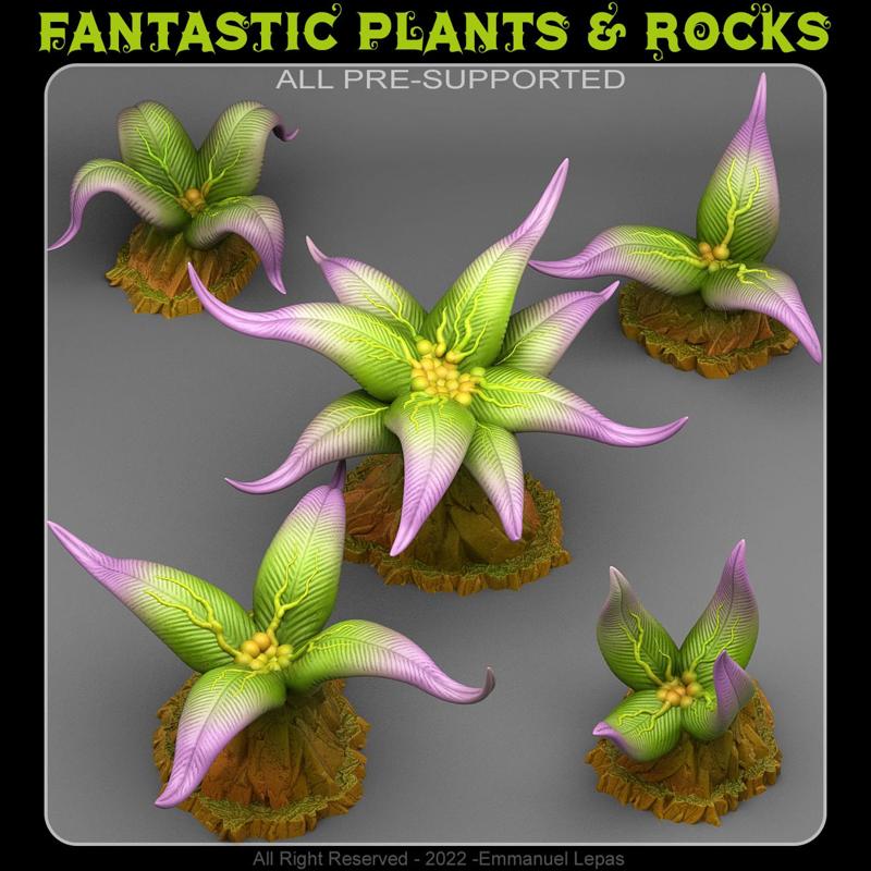 ELEGANT POISONOUS PLANTS