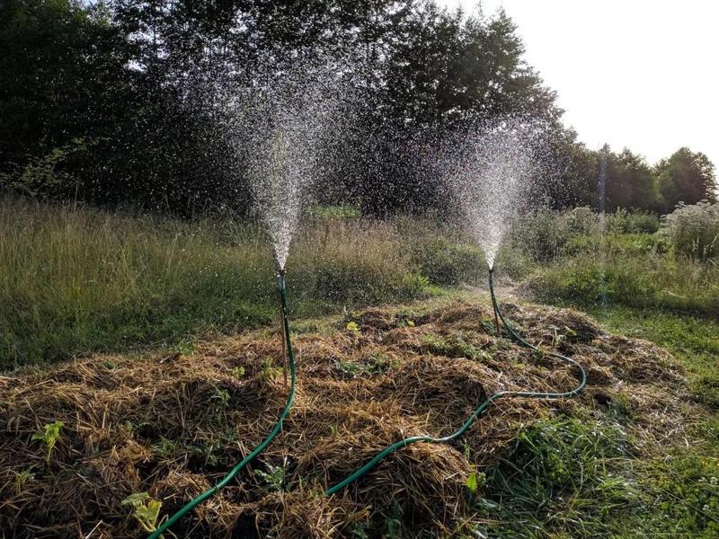 Simple plume sprinkler / Water blaster (print in place)