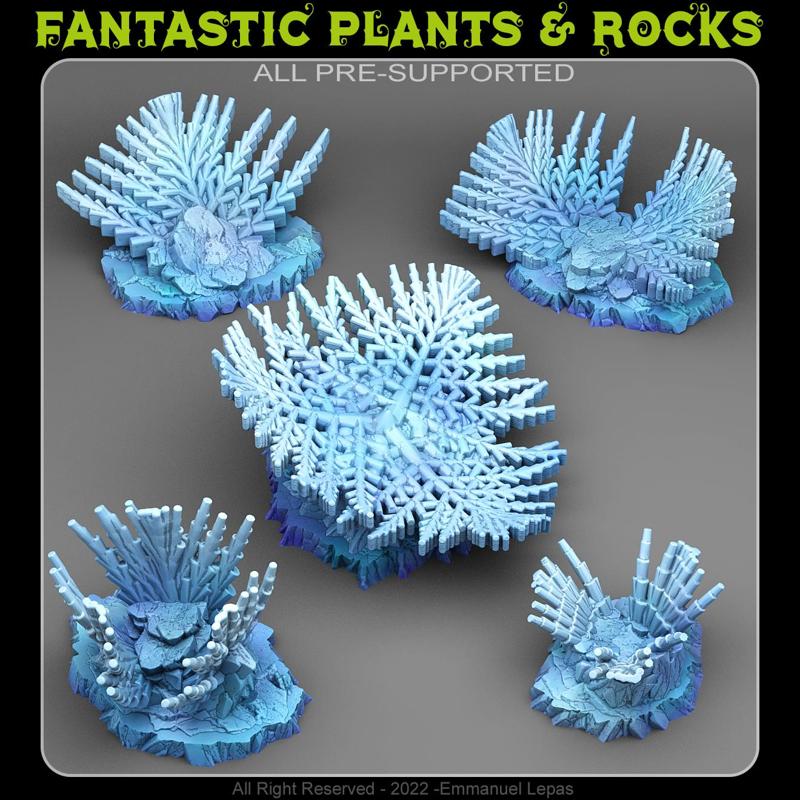 GIANT SNOWFLAKE PLANTS