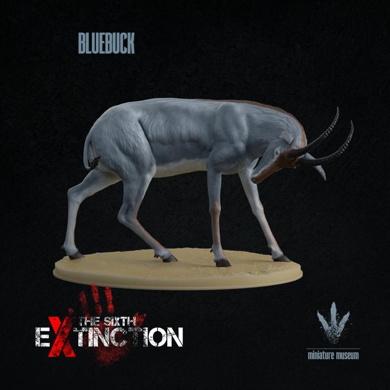 Bluebuck : The Blue Antelope