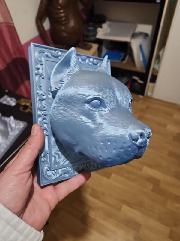 AMERICAN STAFFORDSHIRE TERRIER FRAME