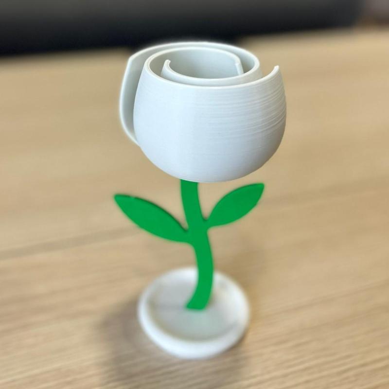 Spiral Flowers - Peony