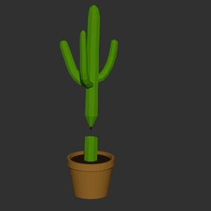 Cactus pen in plant pot