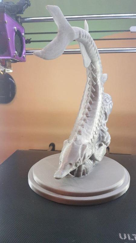 Strugeon fishing trophy