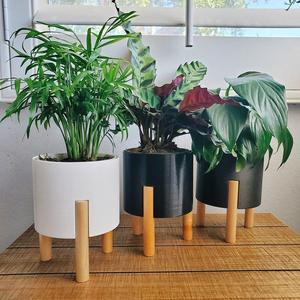 Modern Planter 4inch 6 inch