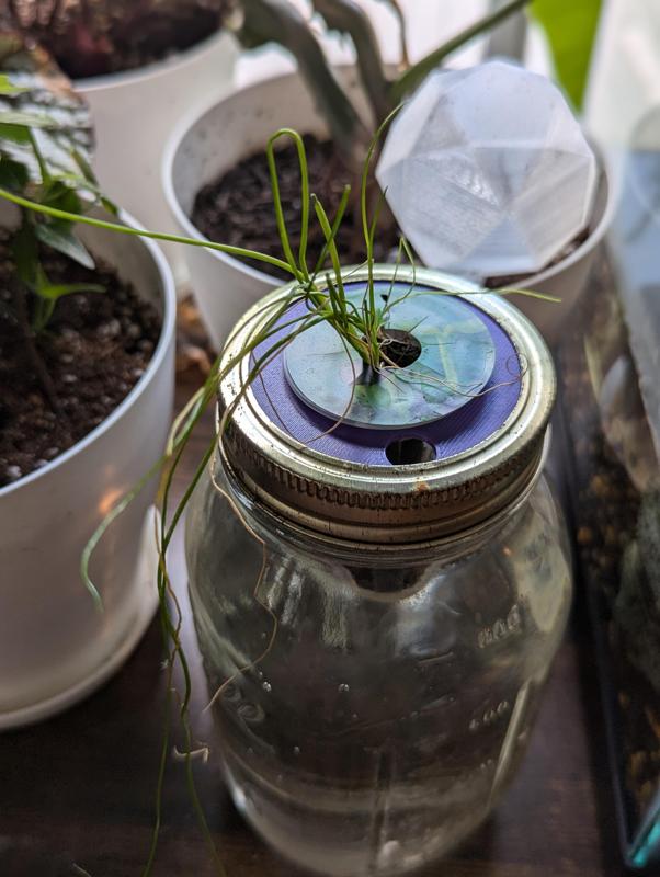 Mason Jar Aerogarden Lid