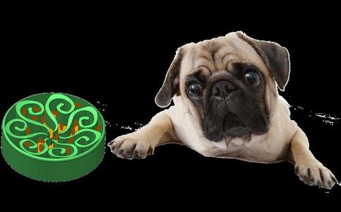 Comedero para no engordar animales