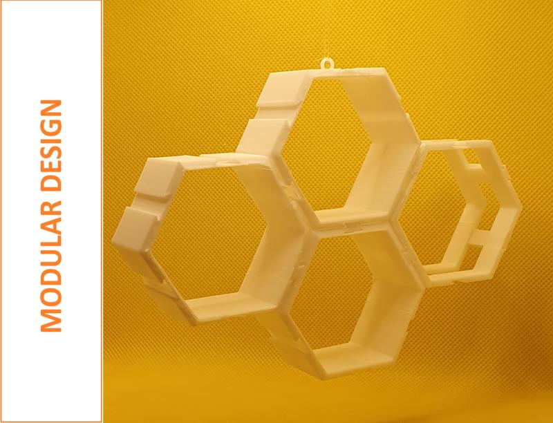 Modular Hexagonal Insect Housing