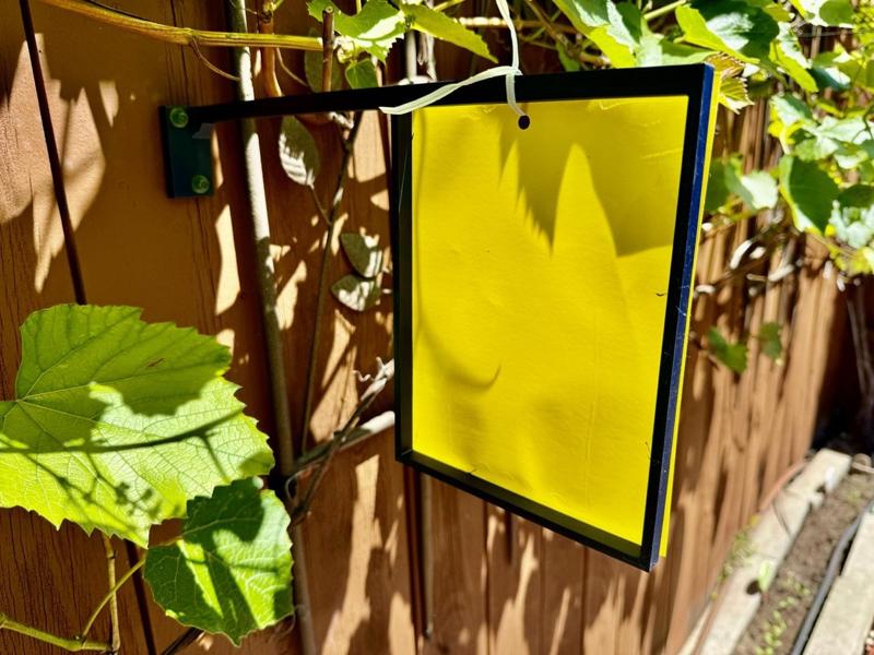 Randco StickyMatic 2000