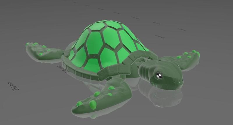 sea turtle