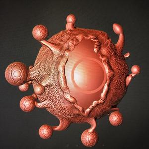 Beholder