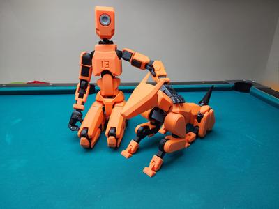 Dummy13 K9 Parametric