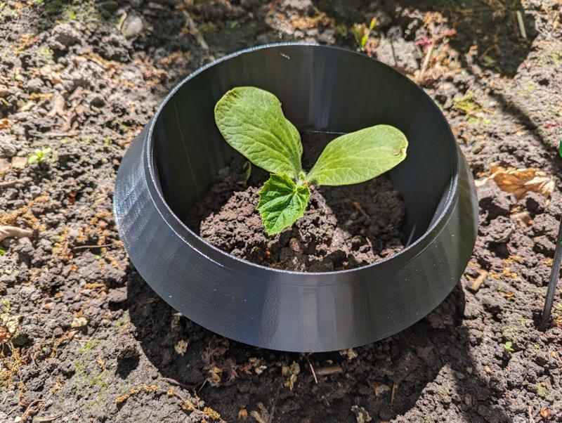 Schneckenkragen (Slug Collar)