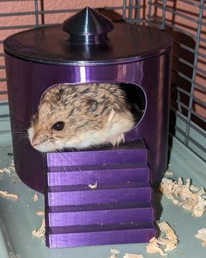 Hamster bath/nest