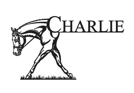 Horse & Name