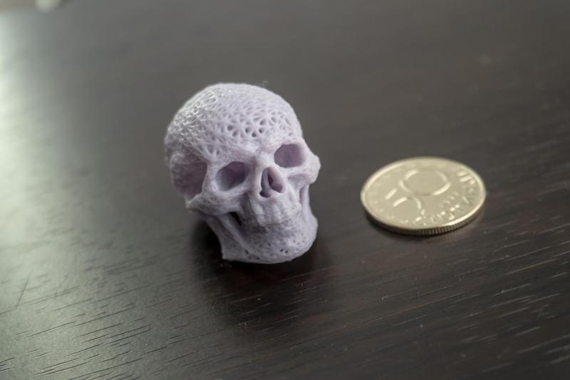 Meshed Skull