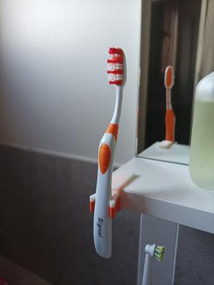 Support brosse à dents