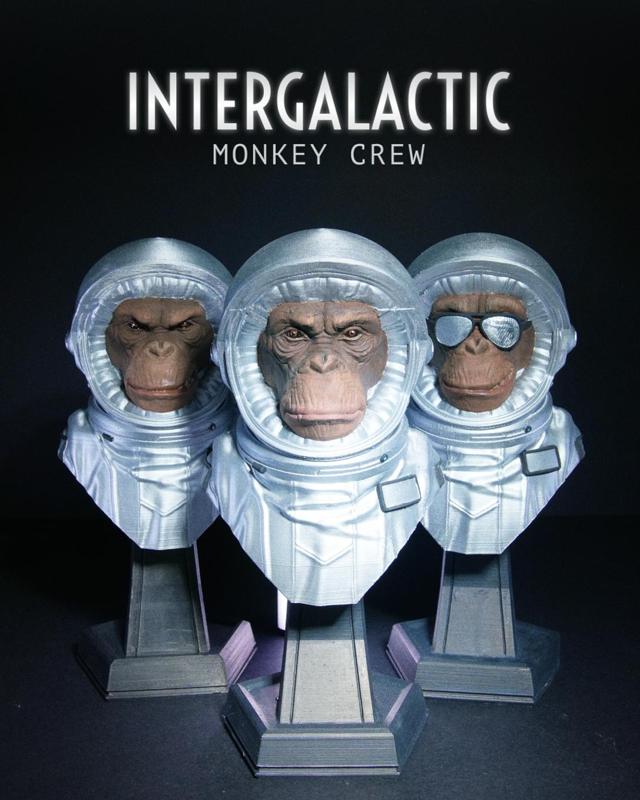 Intergalactic Monkey Crew