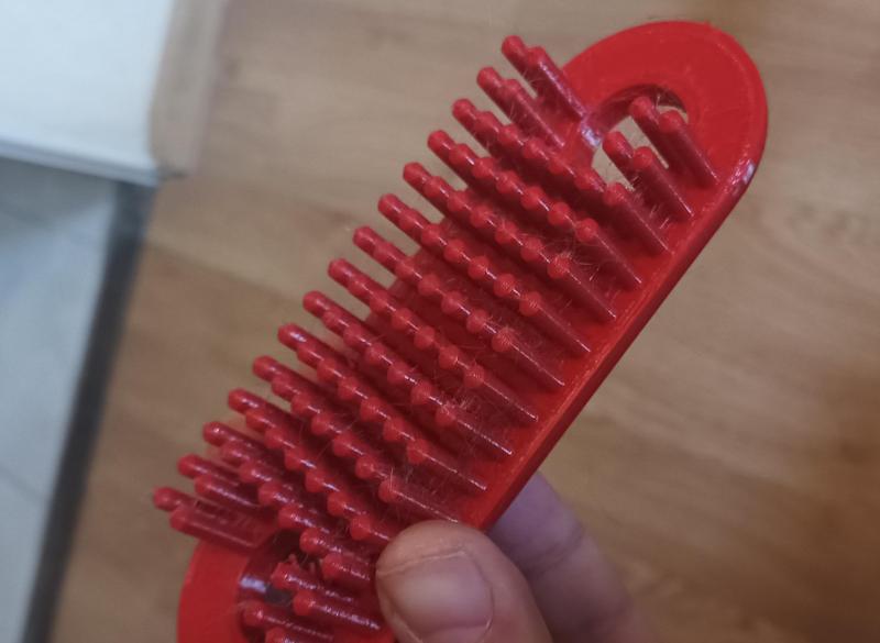Plastic Brush (in one piece)