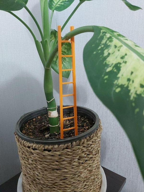Plant Support