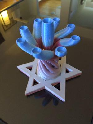 Star of David Menorah