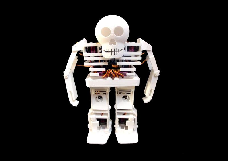 BONES the Humanoid Robot