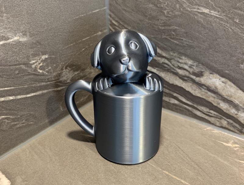 Golden Retriever Puppy