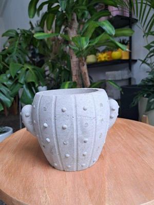 Molde maceta Cactus