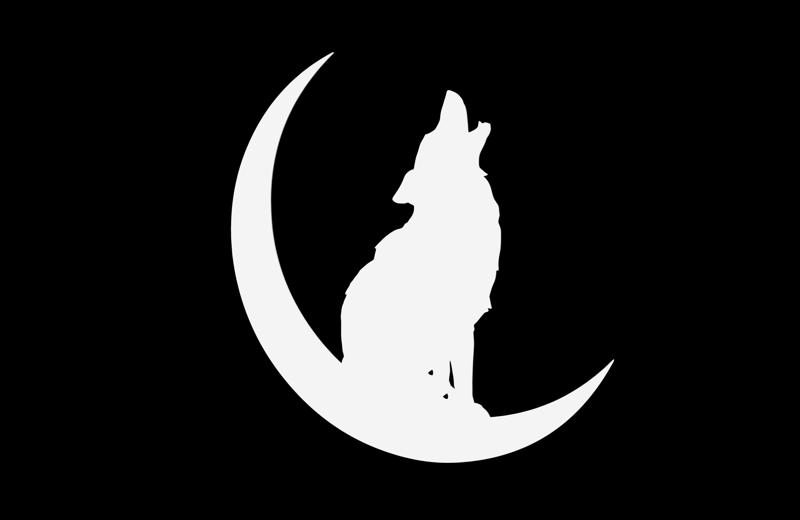 Howling Wolf On The Moon - Wall Art