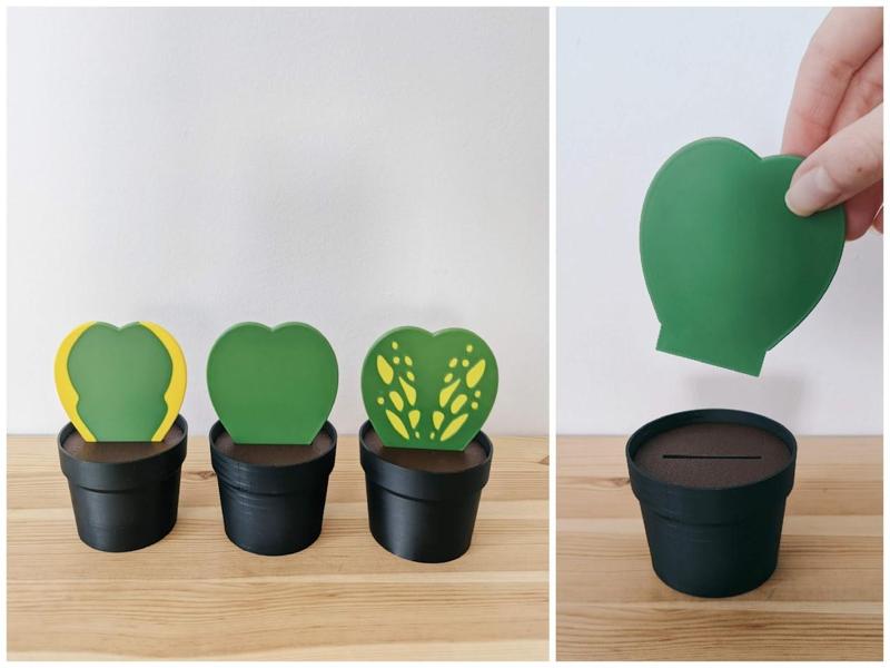 Hoya Kerrii hidden piggy bank