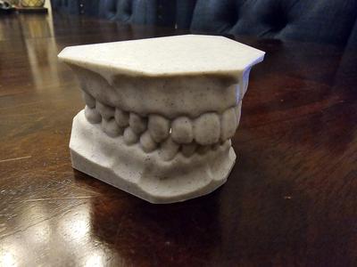 Dental Model - upper and lower teeth set v2