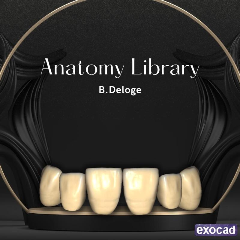 Dental Library B.Deloge