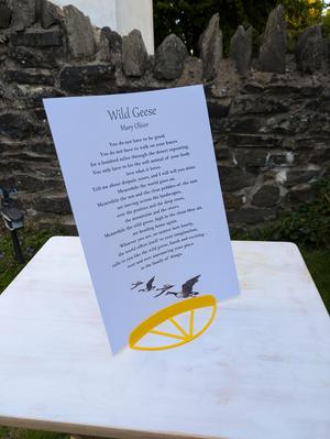 Card display stand (A4 or A5)