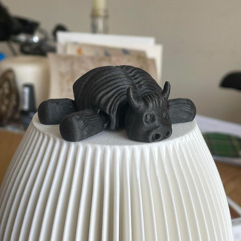 Little Hairy Highland Cow. Print in place