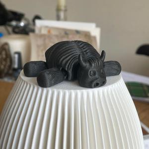 Little Hairy Highland Cow. Print in place