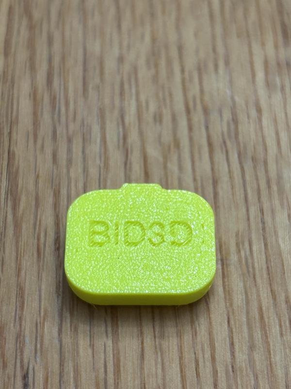 Rad Power Bikes Safe Shield Battery Cap