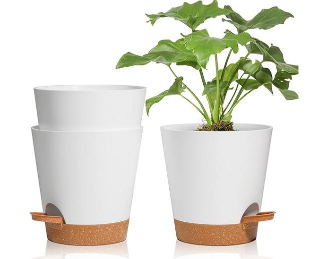 Pot de fleur / Flower pot 003