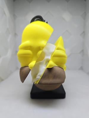 Homer Split Skull