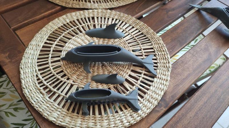 Delphin with indoor accommodation