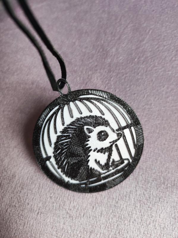 Hedgehog in the cage