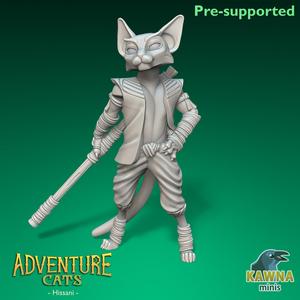 Hissani Monk Cat - Male