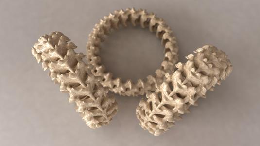 SPINE RING WITH SEPARATE BONES