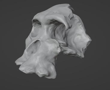 DAMAGED SKULL STL FILE | DAMAGED SKULL DIGITAL FILE