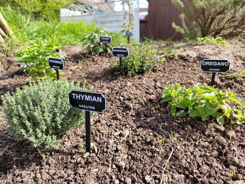 Pflanzenschilder / Gemüseschilder / Schilder für Hochbeet und Garten auf Deutsch/German   