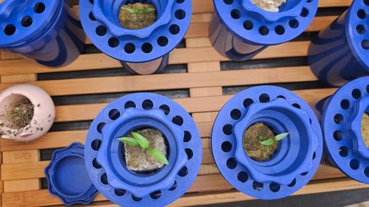 Hydroponics Tower Nursery Starter Cup Holder   
