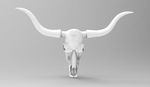 Skull Wall Sculpture