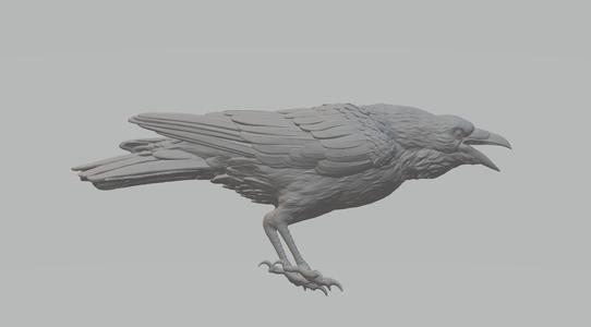 Crow 3D Model 3D print model