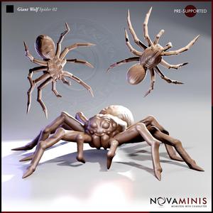 Giant Wolf Spider 02