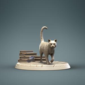 Cat 1