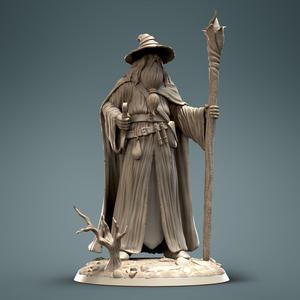 Wizard 1